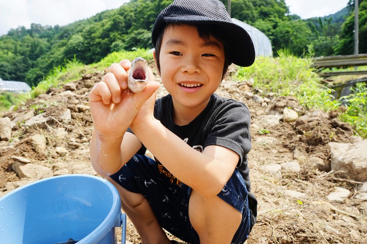 田舎体験（夏）