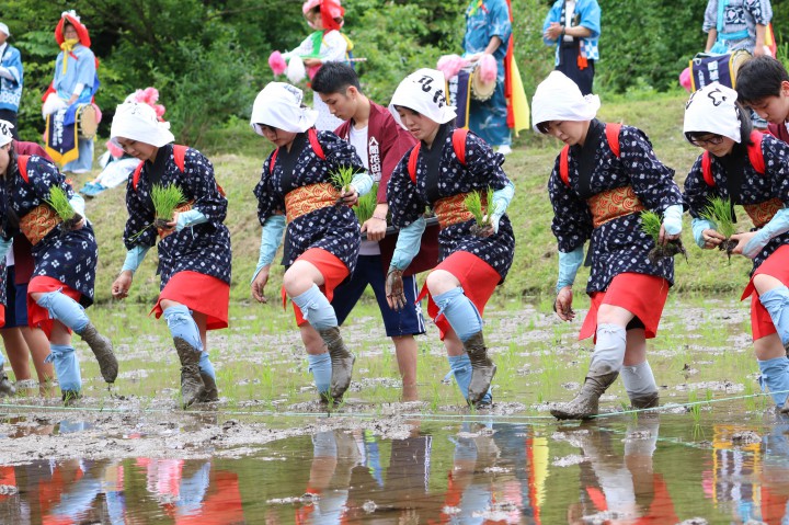 山本正男