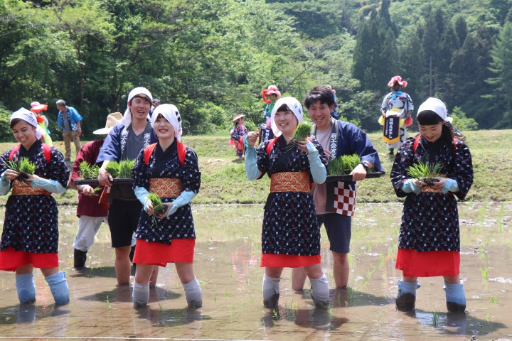 【結果発表】令和元年いるま花田植えフォトコンテスト