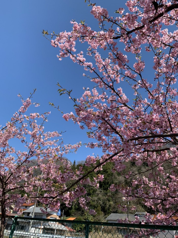 4月カフェあいあい