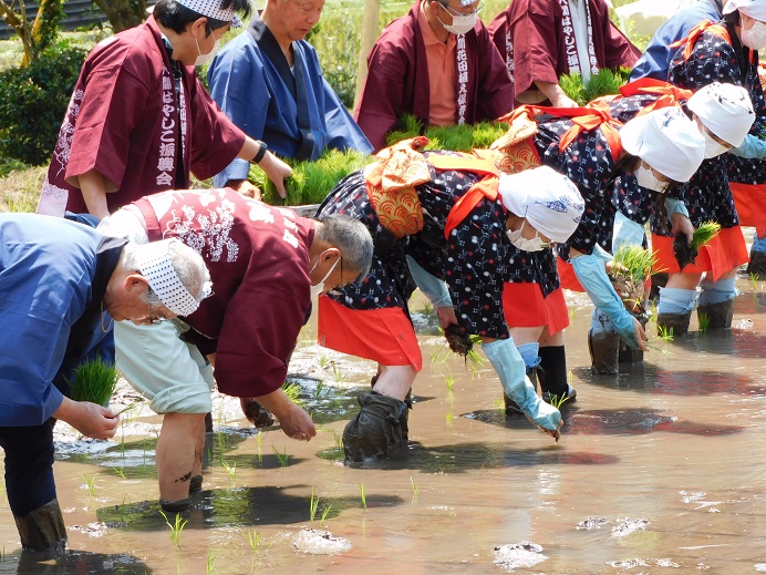 令和５年度 入間花田植え 開催について　