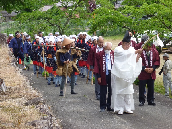 「いるま花田植え」を行いました。。　