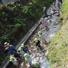 ”川遊び”ができる体験施設として利用されています。